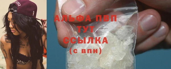 сатива Краснотурьинск