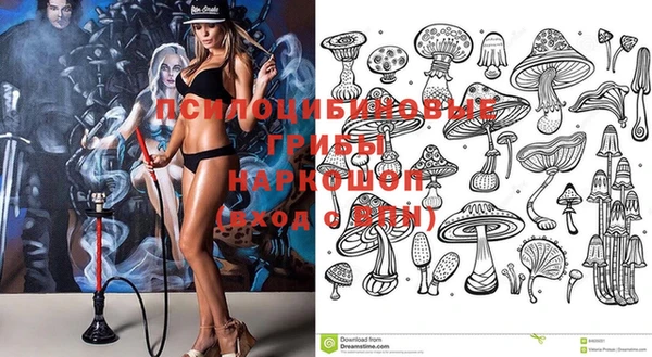 сатива Краснотурьинск