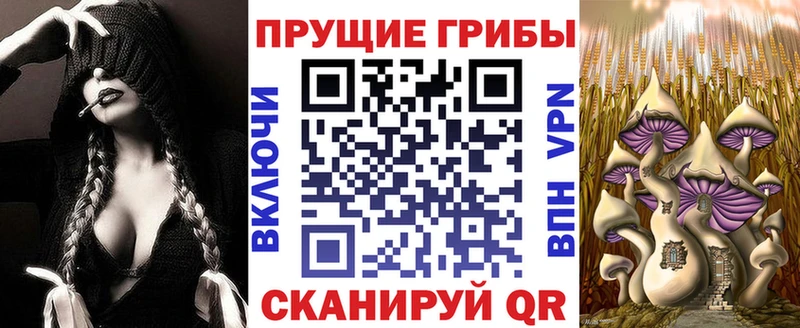 Галлюциногенные грибы прущие грибы  Купить где  Шахунья 